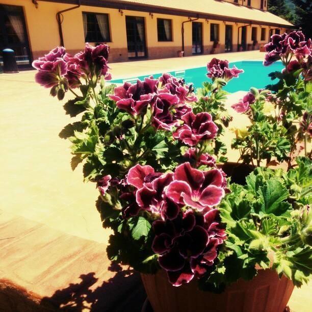 Del Riccio Hotel Martirano Екстериор снимка